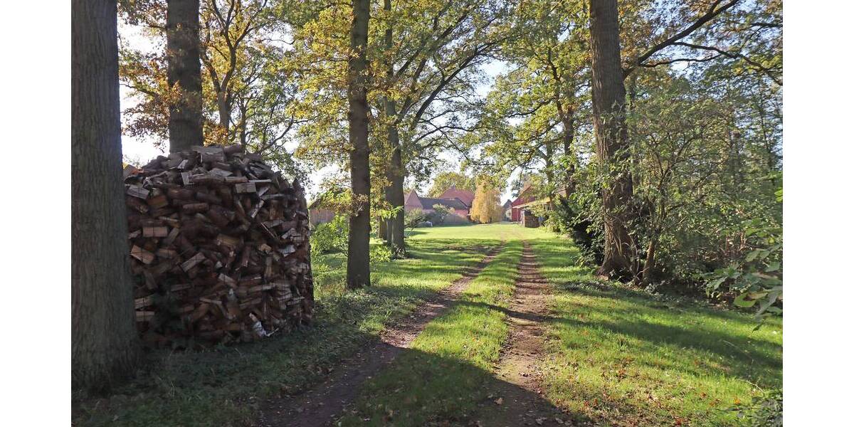 Mehrfamilienhaus, Wohnhaus Lüchow Ranzau - 1 Zimmer, 395 m&sup2;, 290.000&euro; | Angebot:25687223