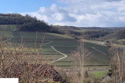 NITTEL: WOHNHAUS MIT KELLER + PHOTOVOLTAIK AM ORTSRAND! 5 zimmer