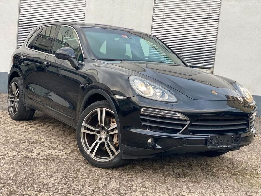 Cayenne