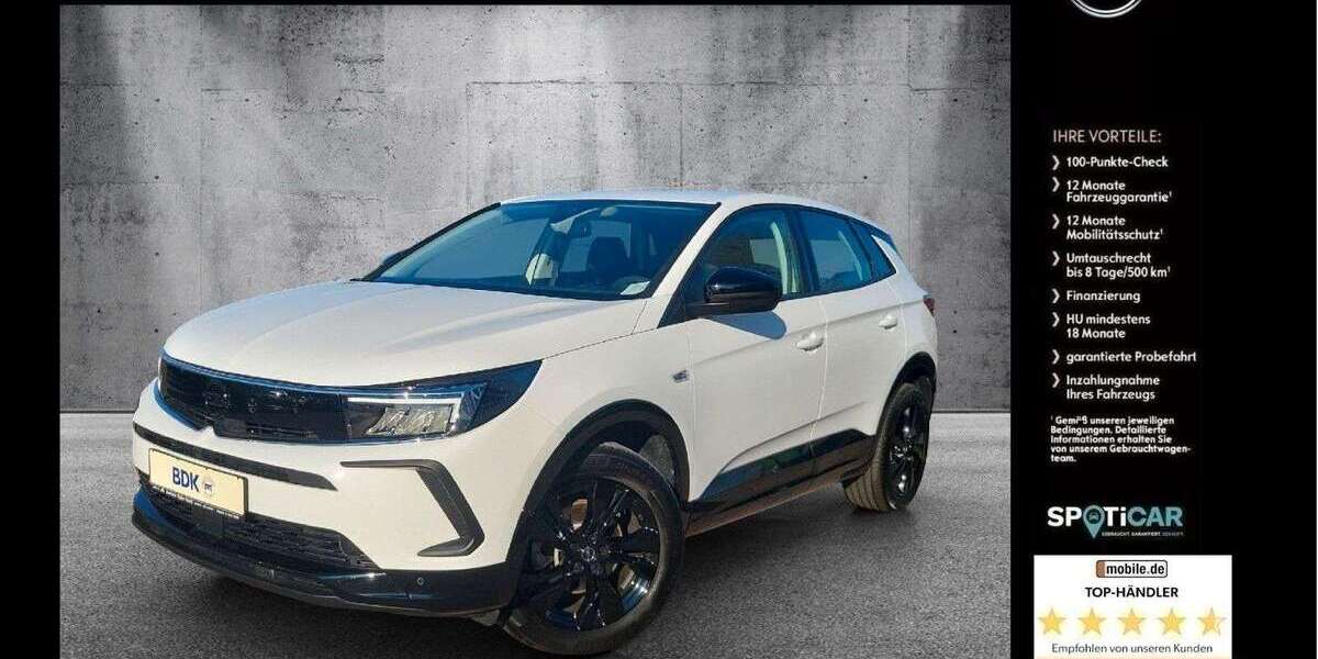 Opel Grandland X 8.900 km 24.950 &euro; Lübbenau 03222