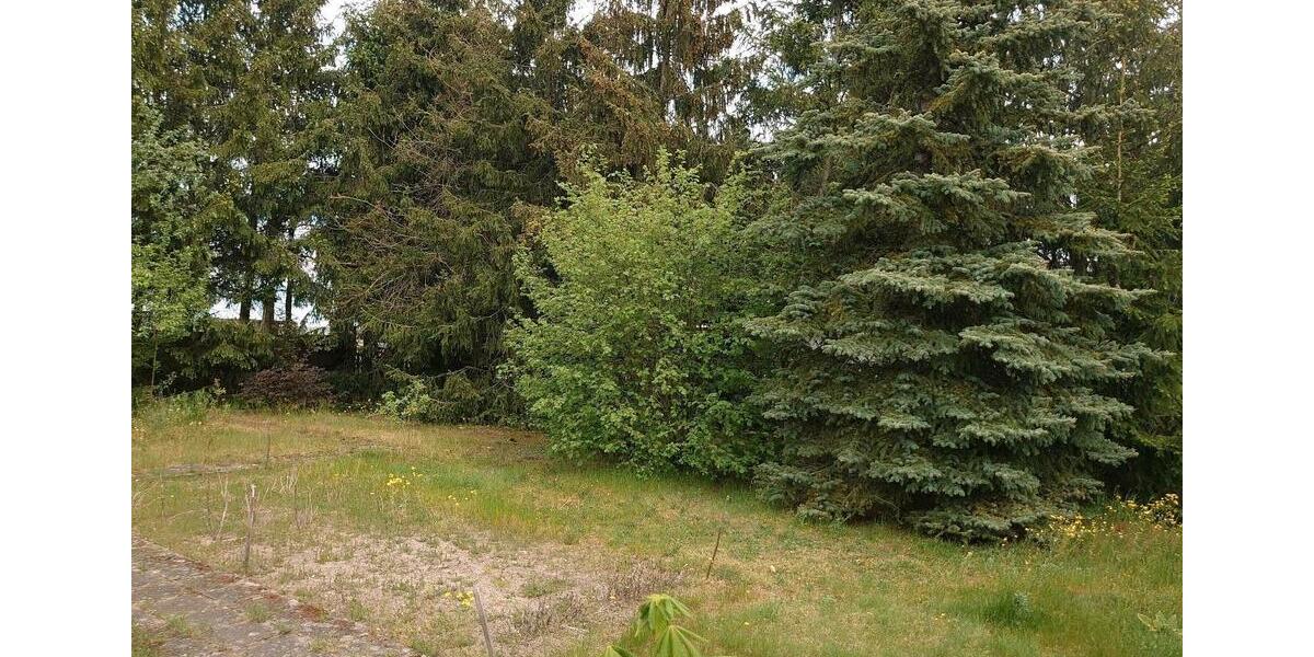 Einfamilienhaus Burg - 4 Zimmer, 113 m&sup2;, 175.000&euro; | Angebot:26443479