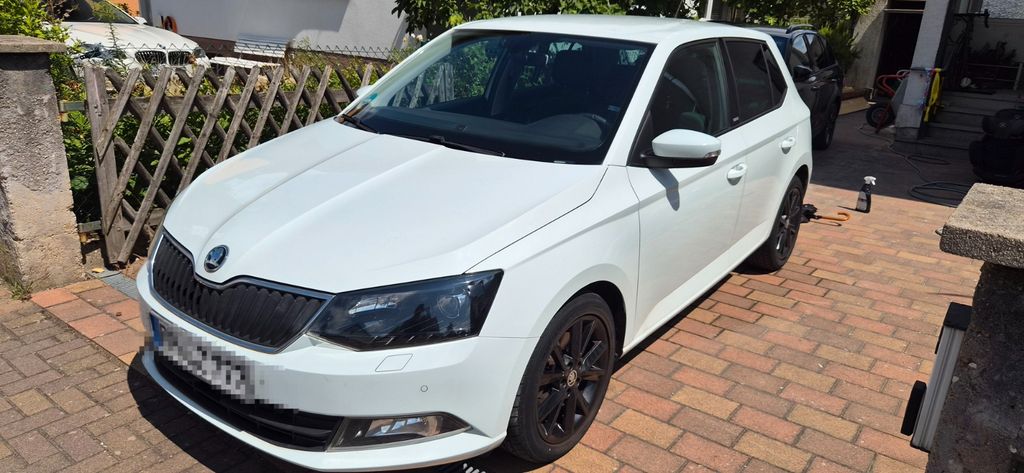 Skoda Fabia 45.000 km 10.000 &euro; Limburgerhof 67117