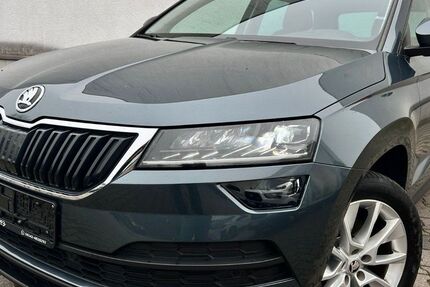 Skoda Karoq 168.100 km 15.990 &euro; Rüsselsheim 65428