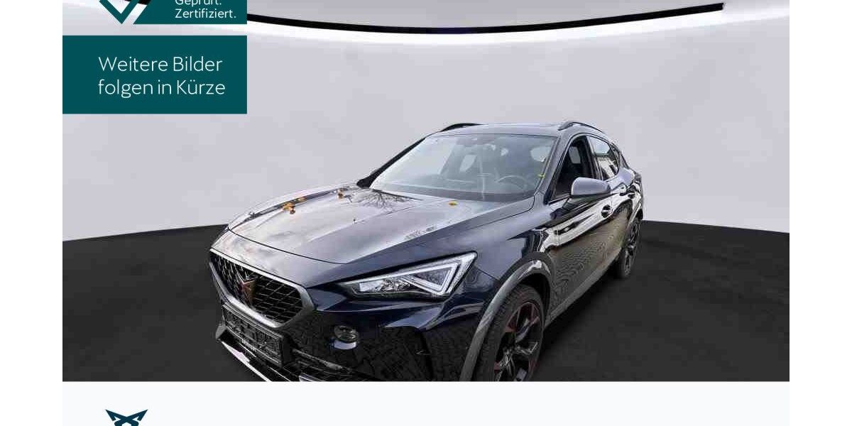 Cupra Formentor 33.024 km 27.930 € Hofheim-Diedenbergen 65719