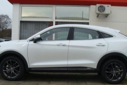 DFSK Fengon 5 69.000 km 19.850 &euro; Sauensiek 21644