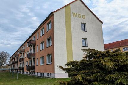 Wohnung Rothenburg/Oberlausitz Oberlausitz - 2 Zimmer, 46 m&sup2;, 264&euro; | Angebot:26058034