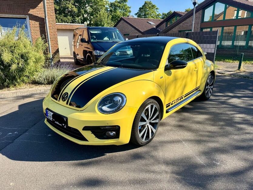 Beetle
