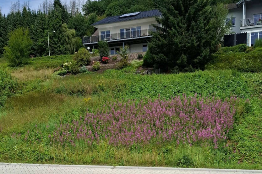 Grundstück zu verkaufen in Hövels 35.000 € 544 m²