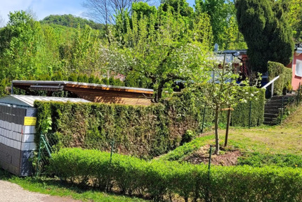 Moderner Bungalow in idyllischer Naturlage - Ihr neues Zuhause in Hainrode