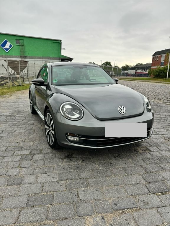 Beetle
