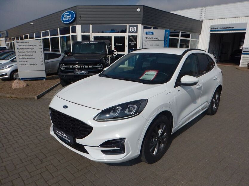 Kuga