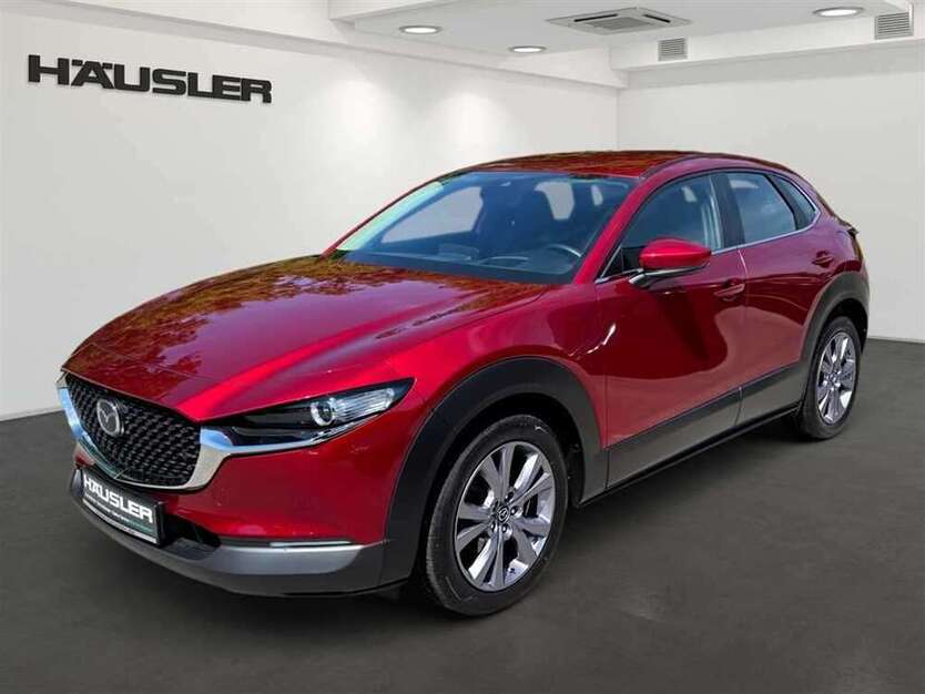 CX-30