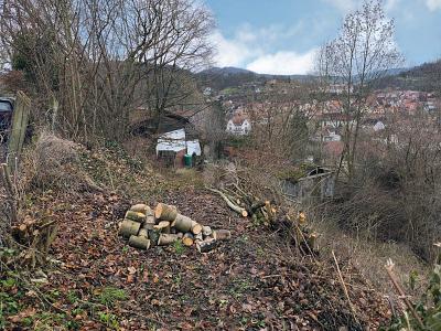 EXKLUSIVES GRUNDSTÜCK IN BESTER LAGE - Grundstück Schmalkalden | Angebot:25837254