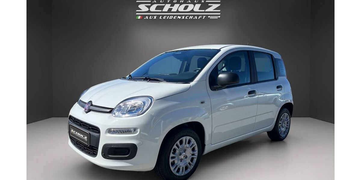 Fiat Andere 1.299 km 15.900 &euro; Bautzen 02625