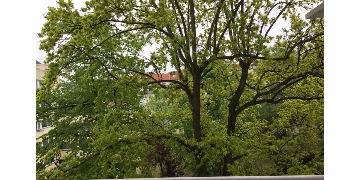 Etagenwohnung Berlin Charlottenburg-Wilmersdorf - 2 Zimmer, 58 m&sup2;, 365.000&euro; | Angebot:26032911