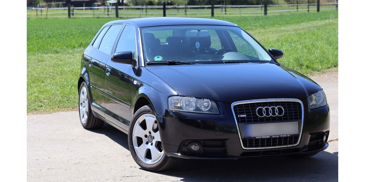 Audi A3 225.313 km 3.000 &euro; Neustadt an der Donau 93333