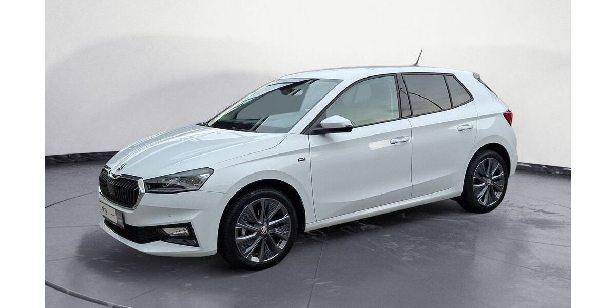 Skoda Fabia 9.842 km 19.990 &euro; Lörrach 79540