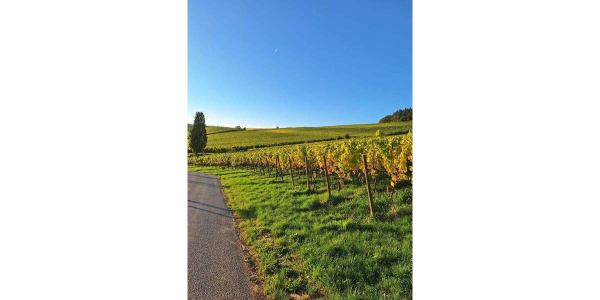 Reihenendhaus Kiedrich - 5 Zimmer, 213 m&sup2;, 2.226&euro; | Angebot:24566302