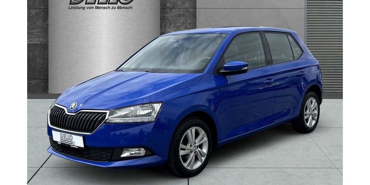 Skoda Fabia 127.894 km 8.980 &euro; Parchim 19370