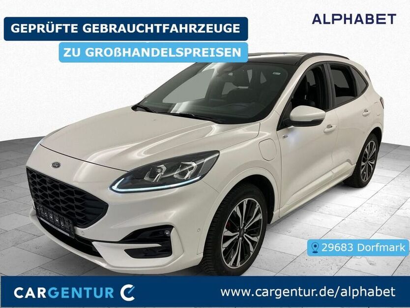 Kuga