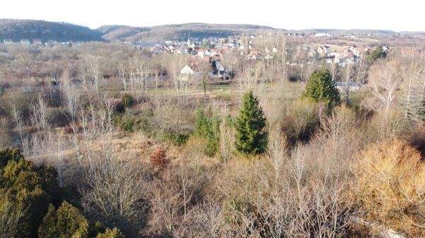 Grundstück Quedlinburg OT Gernrode Bad Suderode - 125.000&euro; | Angebot:25727155