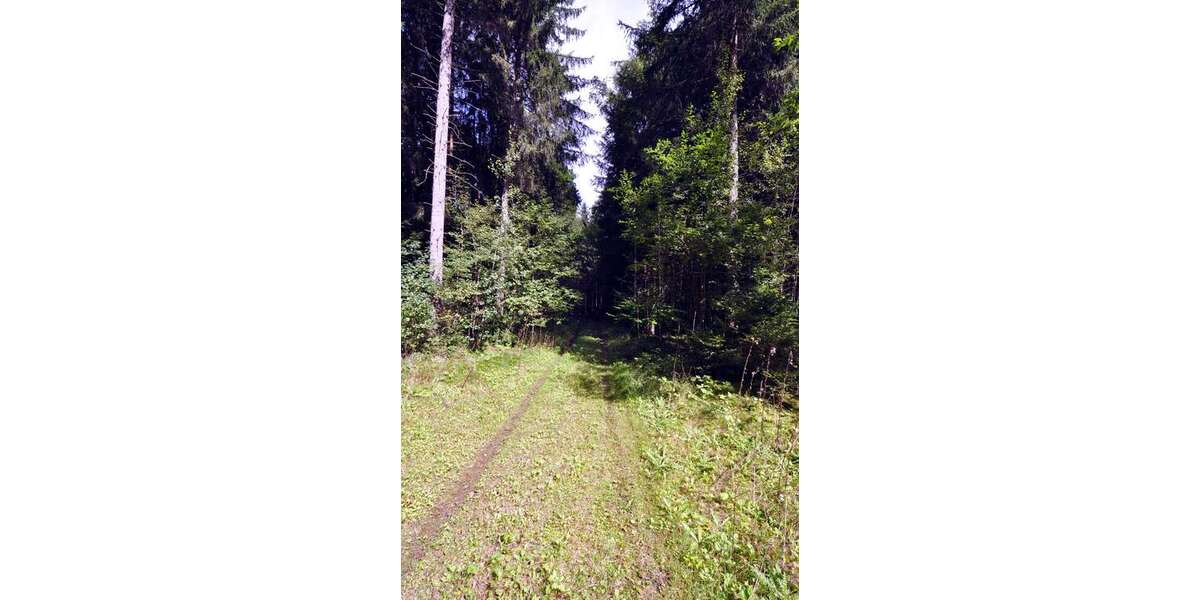 Grundstück in Oberbiberg 123.000 € 10700 m² zimmer