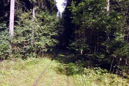 Grundstück Oberbiberg Oberbiberg - 123.000&euro; | Angebot:24607804