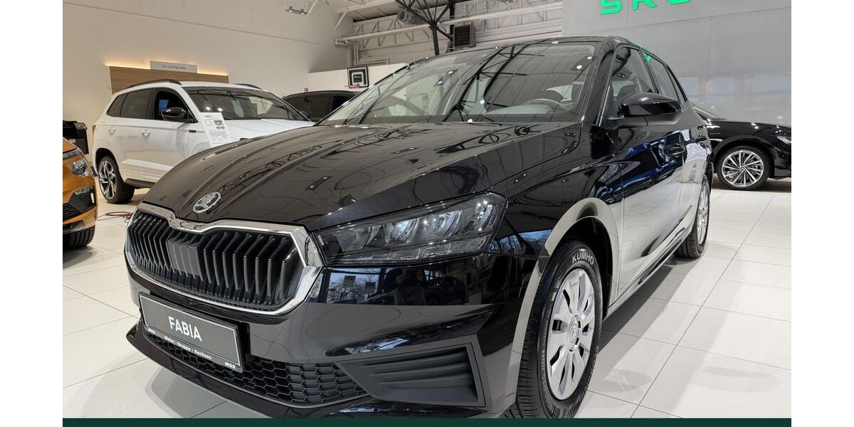 Skoda Fabia 29.200 km 14.490 &euro; Dresden 01099