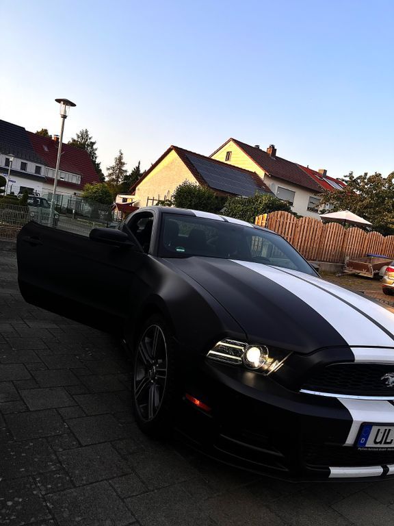 Mustang