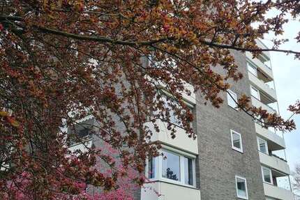 Wohnung zum Mieten in Osnabrück 780 € 79.68 m² 3 zimmer
