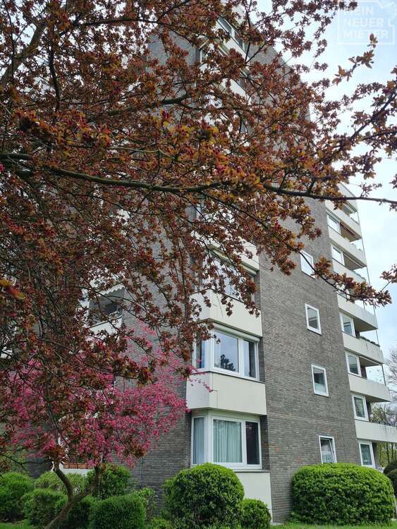 Wohnung zum Mieten in Osnabrück 780 € 79.68 m² 3 zimmer