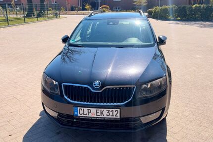 Skoda Octavia 250.907 km 7.000 &euro; Molbergen 49696