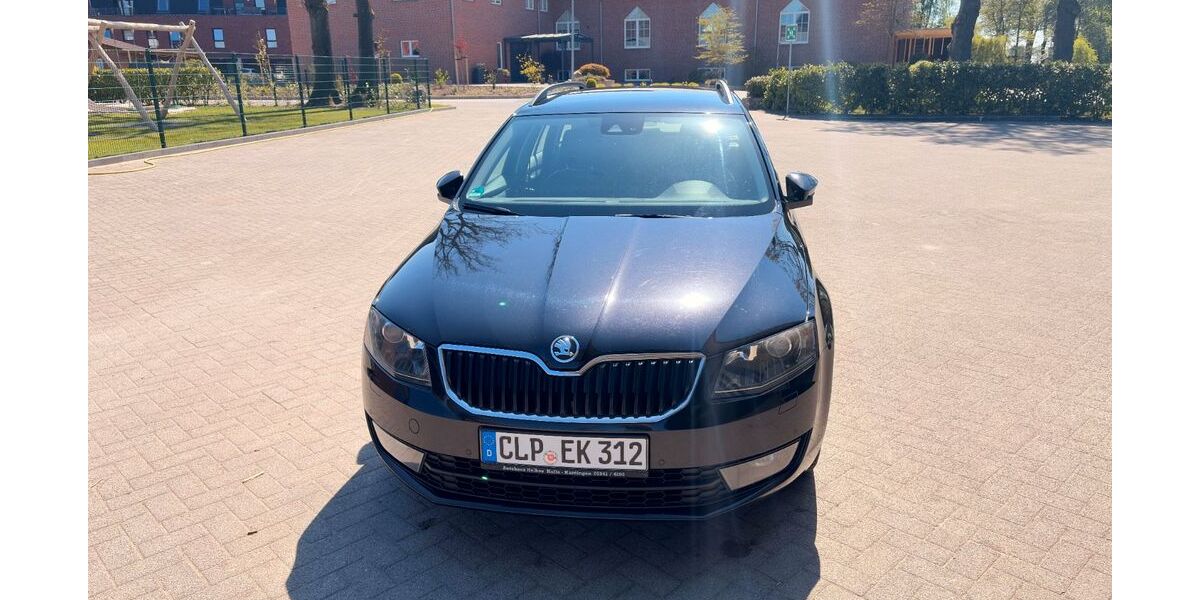 Skoda Octavia 250.907 km 7.000 &euro; Molbergen 49696