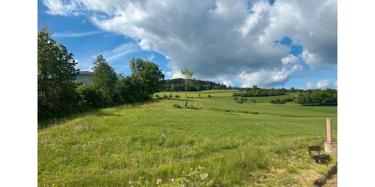 Einfamilienhaus Steinau an der Straße - 8 Zimmer, 1.985 m&sup2;, 169.000&euro; | Angebot:26987345