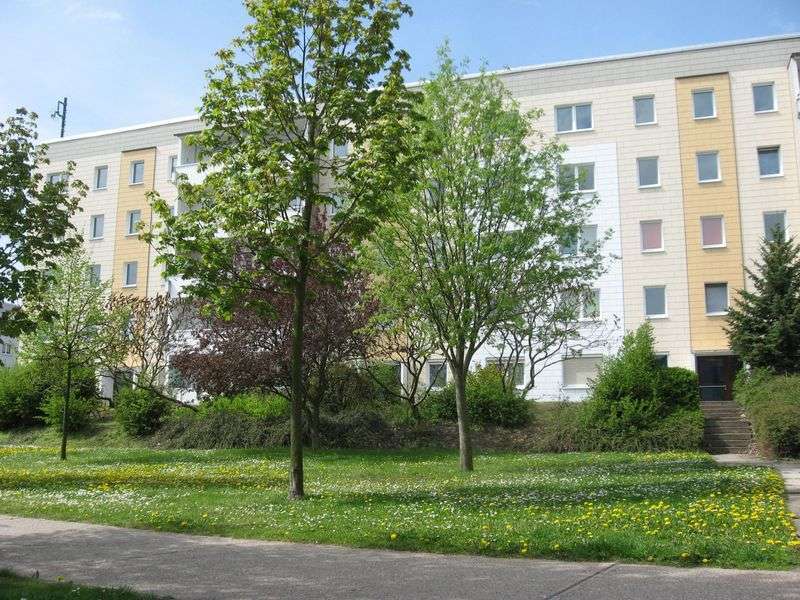 Wohnung zum Mieten in Schkeuditz 540 € 60 m²