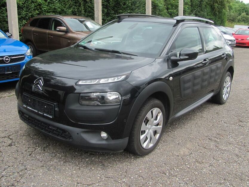 C4 Cactus