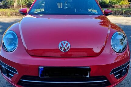 VW Beetle 70.500 km 17.800 &euro; Braunschweig 38124