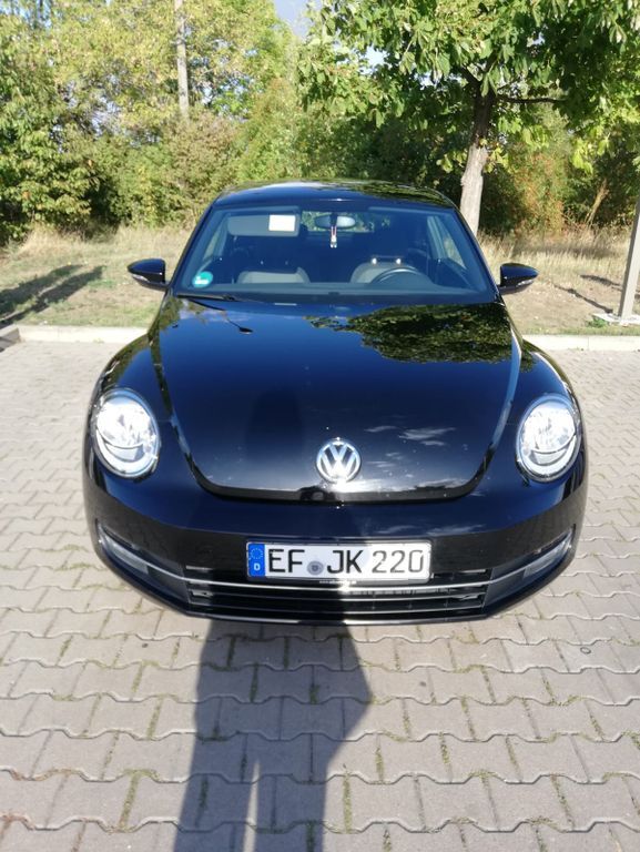 Beetle