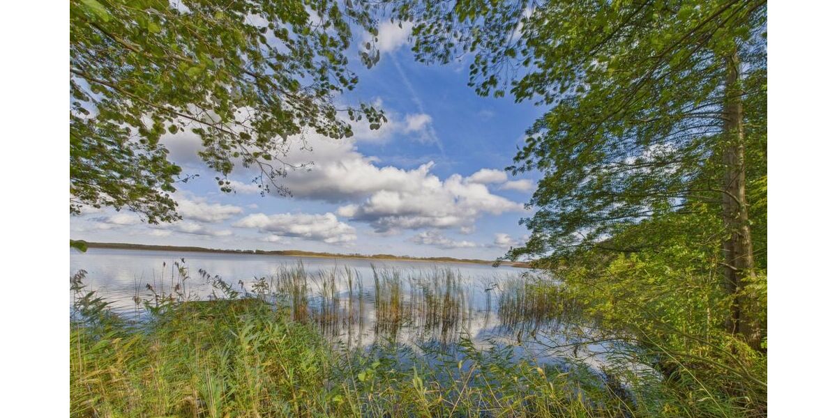 Ehemaliger Vierseitenhof mit Geschichte und Entwicklungsspielraum - Einfamilienhaus Storkow | Angebot:25221668