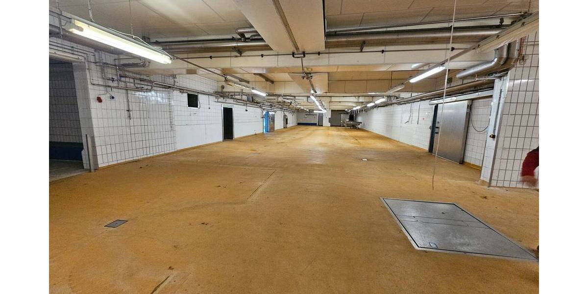 Gewerbeobjekt Grimma Mutzschen - 1.900.000&euro; | Angebot:25958961
