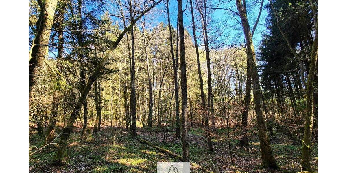 Grundstück Mainhardt Ammertsweiler - 34.900&euro; | Angebot:26798338