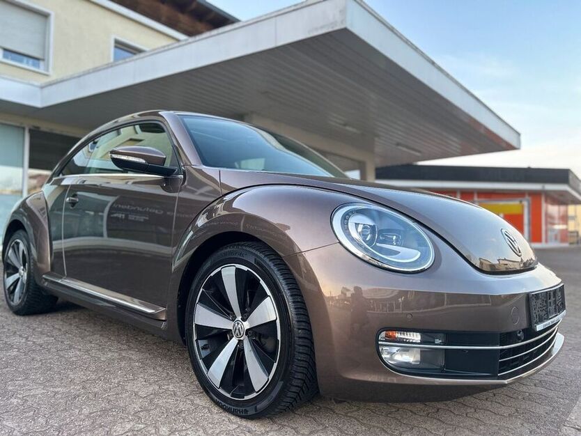 Beetle