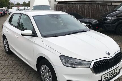 Skoda Fabia 245.258 km 9.999 € Braunschweig 38110