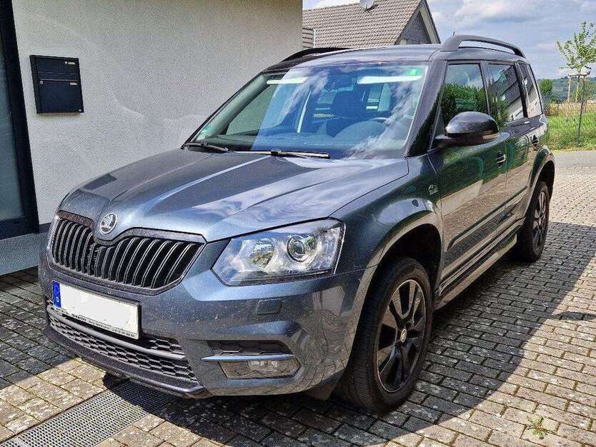 Yeti