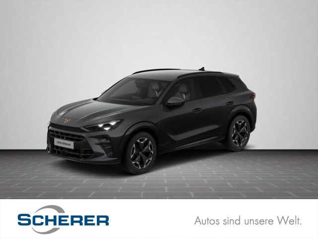 Cupra Terramar 17.800 km 43.900 &euro; Neustadt a.d. Weinstraße 67433