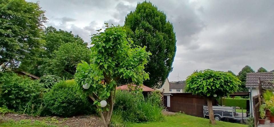 Einfamilienhaus Höxter - 6 Zimmer, 130 m&sup2;, 158.000&euro; | Angebot:27012633