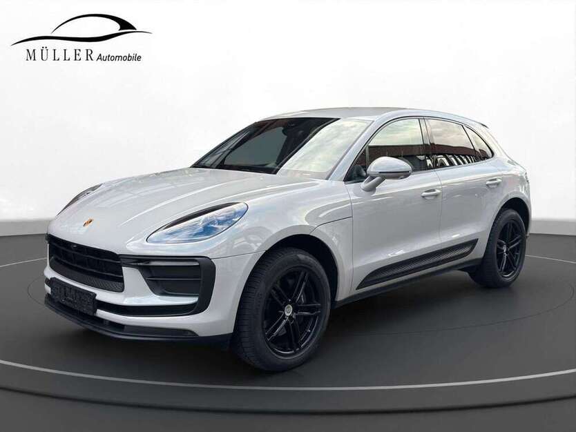 Macan