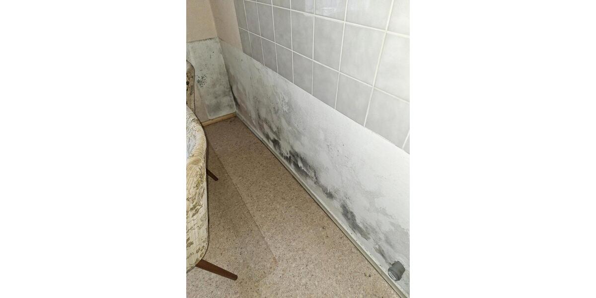 Einfamilienhaus Brand-Erbisdorf Erbisdorf - 4 Zimmer, 80 m&sup2;, 500&euro; | Angebot:26412470