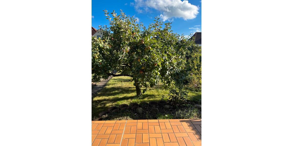 Mehrfamilienhaus, Wohnhaus Fulda Kohlhaus - 499.000&euro; | Angebot:26777626