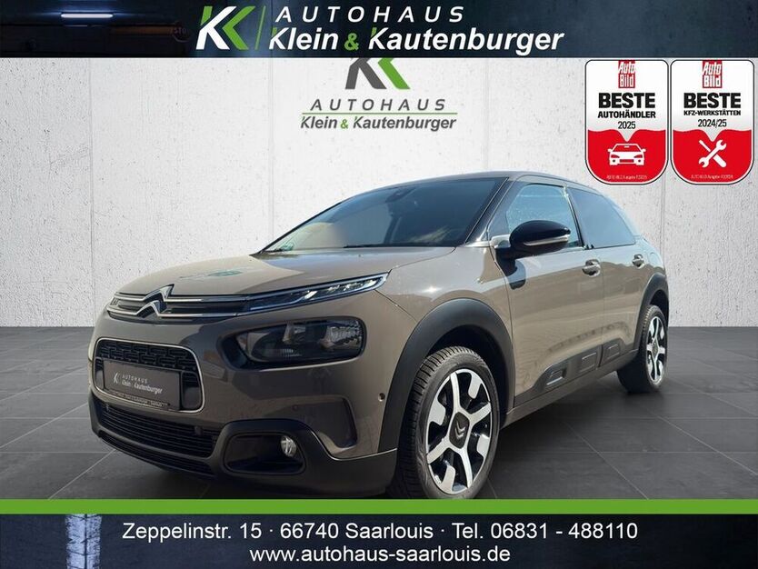 C4 Cactus